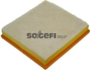 Air Filter A1161