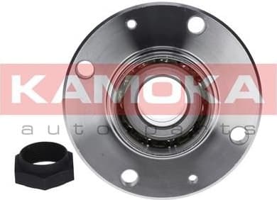 Bearing wheel 5500043
