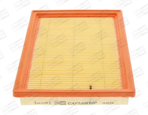 Filter air CAF100810P - image 2