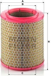 Air Filter C17129