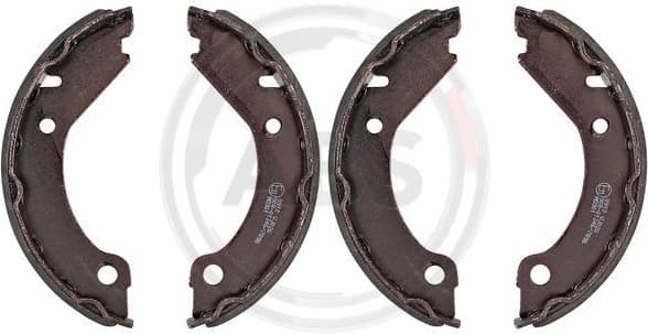Brake Shoe Set, parking brake 8910