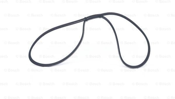 V-ribbed Belt 1987947853