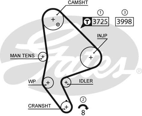 Timing Belt PowerGrip™ 5588XS