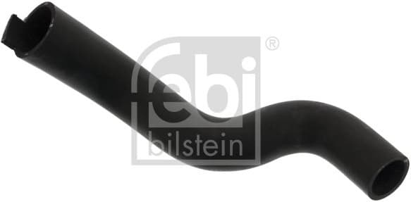 Radiator Hose 101208