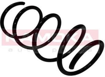 Coil spring 2110255