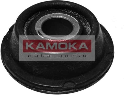 Mounting, control/trailing arm 8800038