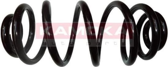 Coil spring 2120198