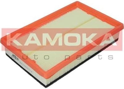 Air Filter F224601