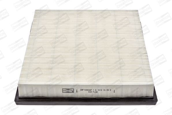 Air Filter CAF100666P