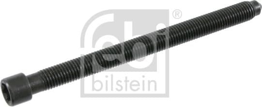 Cylinder Head Bolt 21586