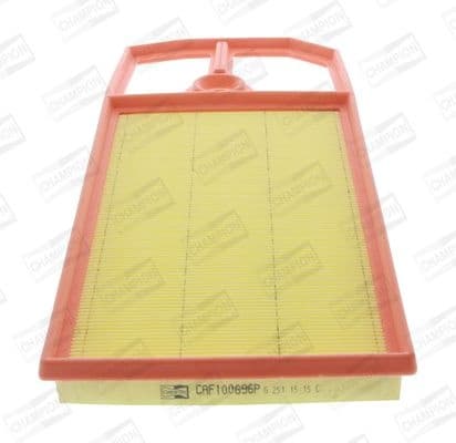 Air Filter CAF100696P