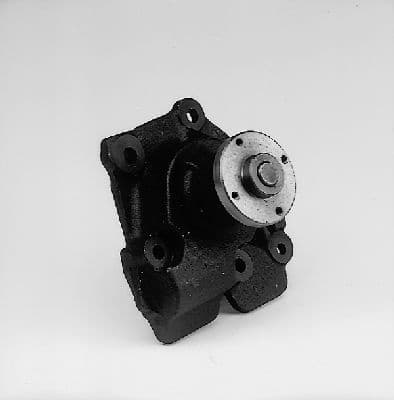 Water Pump, engine cooling P202