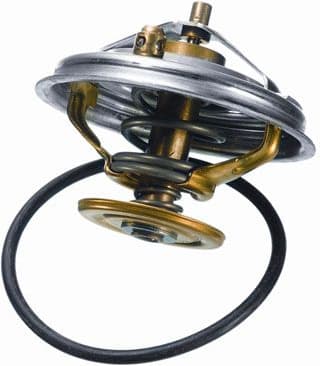 Termostatas - image 3