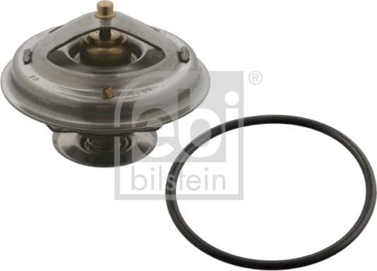 Thermostat, coolant 12193