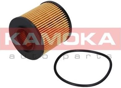 Oil Filter F109801