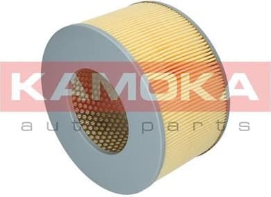 Air Filter F215901