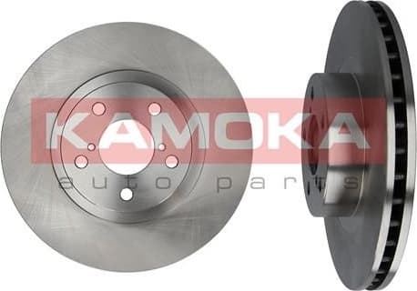Brake Disc 1031032