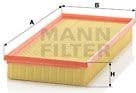 Air Filter C35124