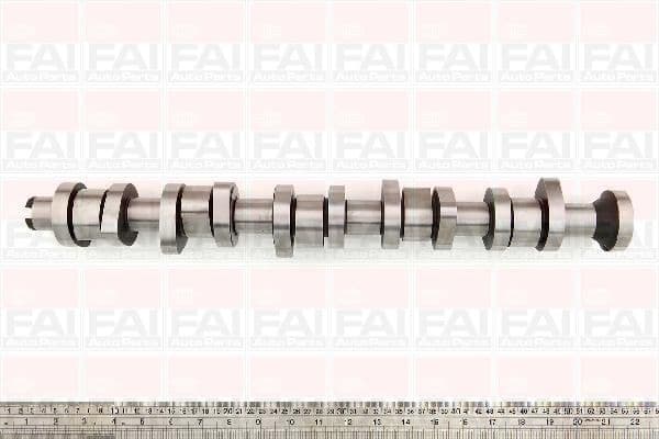 Camshaft C316