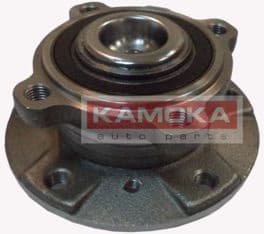 Bearing wheel 5500132