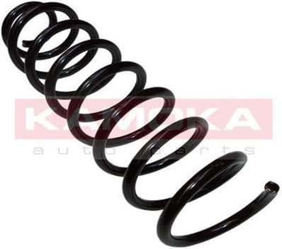 Coil spring 2120321