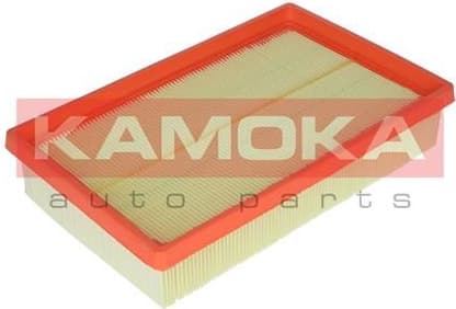 Air Filter F224301