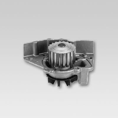 Water Pump, engine cooling P961