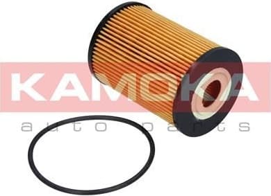 Oil Filter F110301