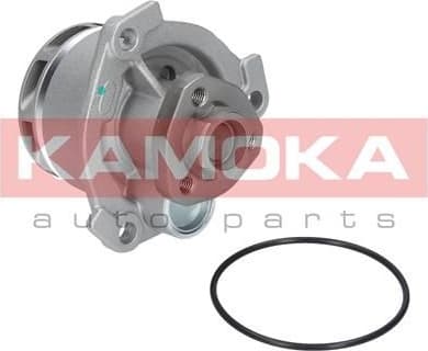 Water Pump, engine cooling T0234