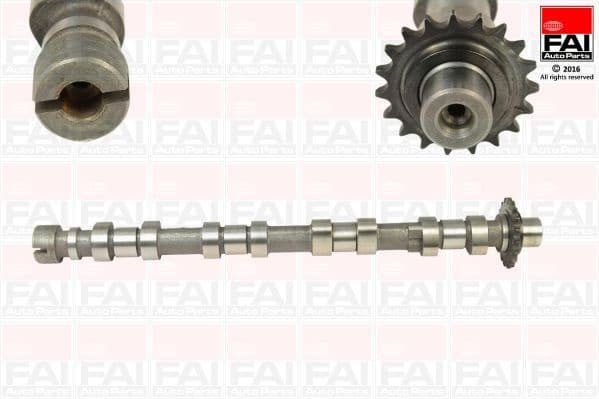 Camshaft C363