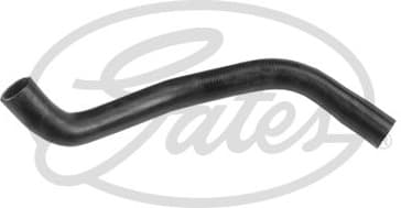 Radiator Hose 3161