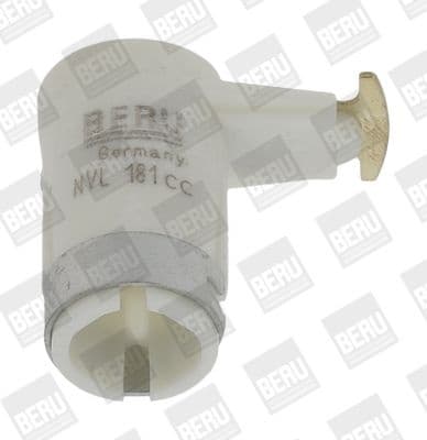 NVL 181 (BorgWarner (BERU))