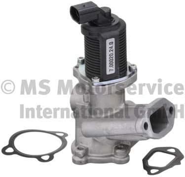 EGR Valve 7.00020.24.0