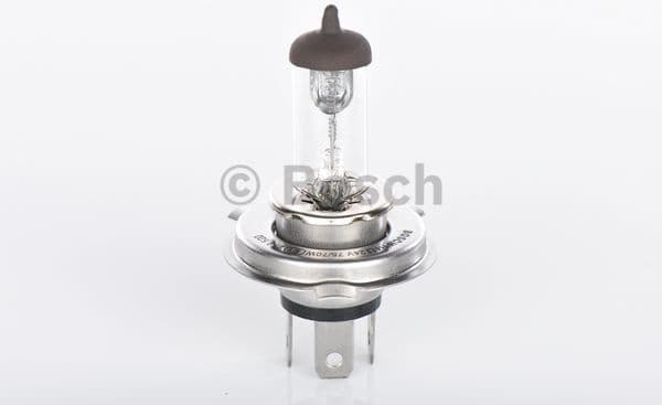 Bulb, front fog light Trucklight WS 1987302441 - image 4