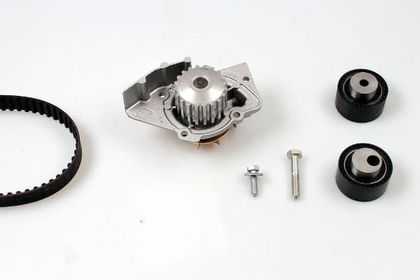 Water Pump & Timing Belt Kit PK08413