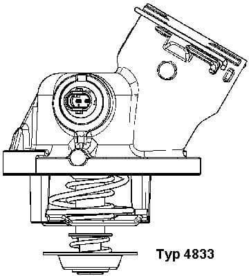termostatas, aušinimo skystis