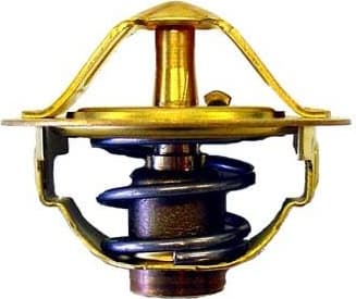 termostatas, aušinimo skystis