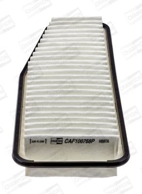 Air Filter CAF100768P