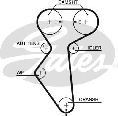 Timing Belt PowerGrip™ 5419XS - image 2