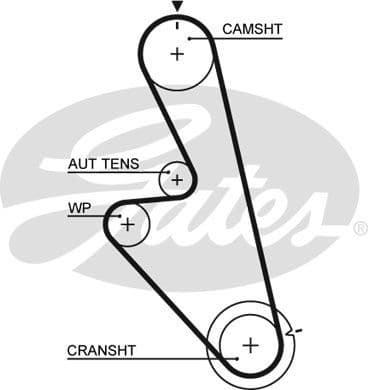 Timing Belt PowerGrip™ 5449 - image 2