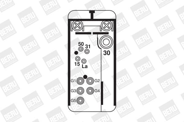 GR 049 (BorgWarner (BERU)) - image 2