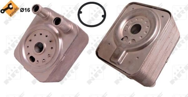 Oil Cooler, engine oil EASY FIT 31168