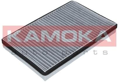 Filter, cabin air F503101