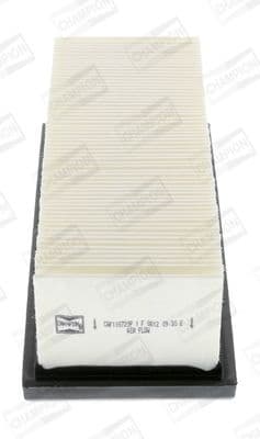 Air Filter CAF100720P