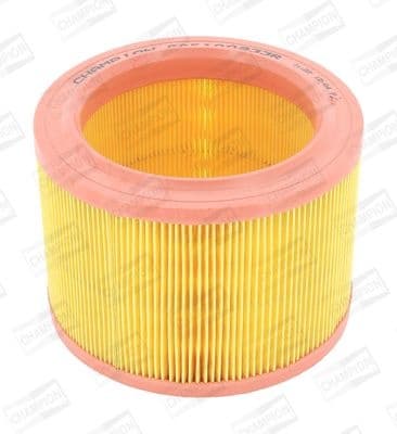 Air Filter CAF100233R
