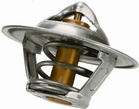 termostatas, aušinimo skystis - image 2