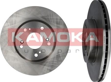 Brake Disc 1031097