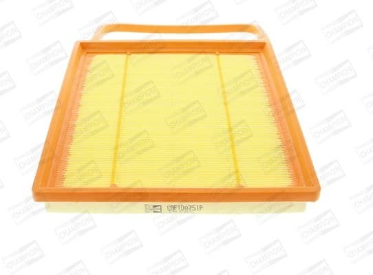 Air Filter CAF100751P
