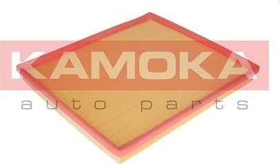Air Filter F217901