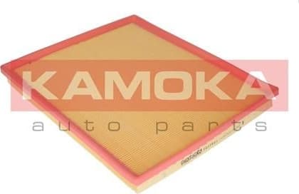 Air Filter F217901 - image 2